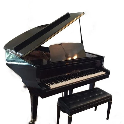 Grand Piano Horugel